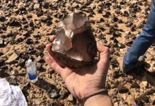 В Ираке археологи обнаружили древние орудия возрастом 1,5 миллиона лет