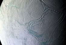 Земля как тренировочный полигон для поиска жизни на Энцеладе