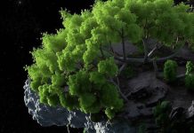 Жизнь на астероидах: «Дерево Дайсона» – новая концепция внеземной жизни