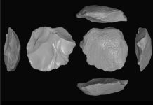 Древние артефакты возрастом 50 тысяч лет содержат загадочные символы