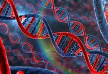 Эволюция может эволюционировать сама по себе: новое исследование