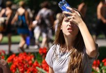 Готовимся к аномальной жаре: России предрекли рекордно долгое лето