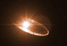 Сверхновая, взорвавшаяся 6 миллионов лет назад, могла повлиять на эволюцию на Земле: новое исследование