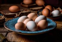 Ученые: Еженедельное потребление яиц снижает риск смерти от болезней сердца на 29%
