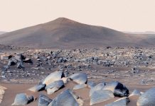 Ученые разработали новый тест, позволяющий обнаружить жизнь на других планетах