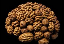 Учёные подтвердили пользу грецких орехов для работы мозга