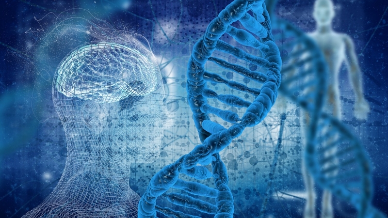 Уникальный ген NOVA1 повлиял на эволюцию человеческого языка, считают ученые