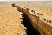 Африканский разлом грозит очередным массовым вымиранием, заявляет эксперт