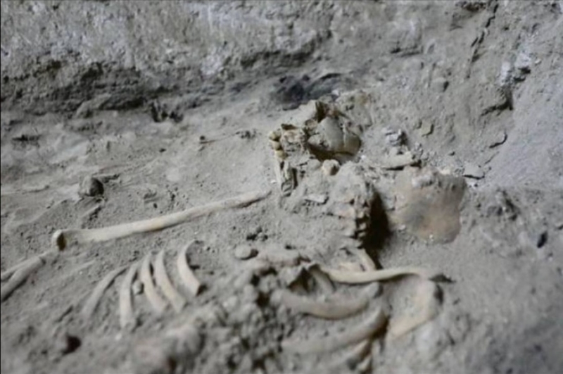 Древний скелет человека возрастом 29 000 лет нашли в Таиланде