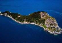 Кеймада-Гранди: место с рекордной плотностью змей