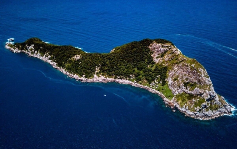 Кеймада-Гранди: место с рекордной плотностью змей