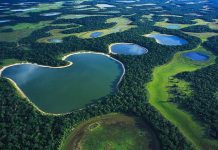 Пантанал: загадочное болото, полное тайн и мифов