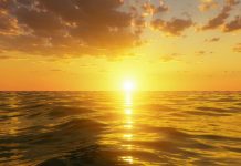 Существовала ли жизнь на Венере: Ученые нашли способ это выяснить