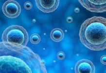 Ученые открыли новый механизм иммунной системы в «мусорной» части клетки