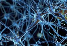 Ученые создали препарат, восстанавливающий мозг после инсульта