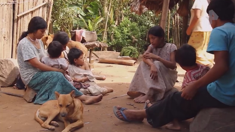 В племени индейцев цимане нет «старческих» болезней и сердечно-сосудистых заболеваний