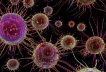 Российские ученые раскрыли механизм распространения рака