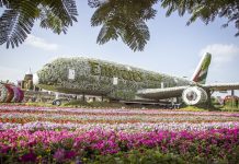 Почему стоит полететь в Дубай: 7 причин для путешествия