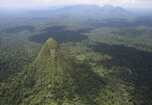 Загадка пирамидального холма в глубинах Амазонии