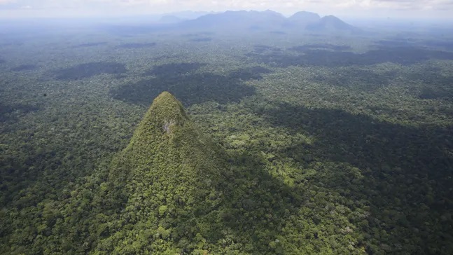 Загадка пирамидального холма в глубинах Амазонии
