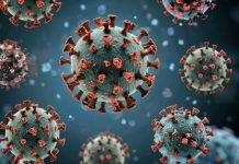 Искусственный интеллект обнаружил, что вирус H5N1 адаптируется и становится опаснее