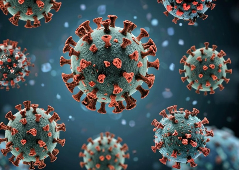 Искусственный интеллект обнаружил, что вирус H5N1 адаптируется и становится опаснее