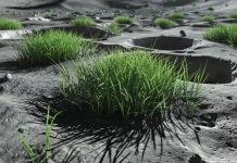 Китайские ученые придумали, как сделать лунный грунт плодородным