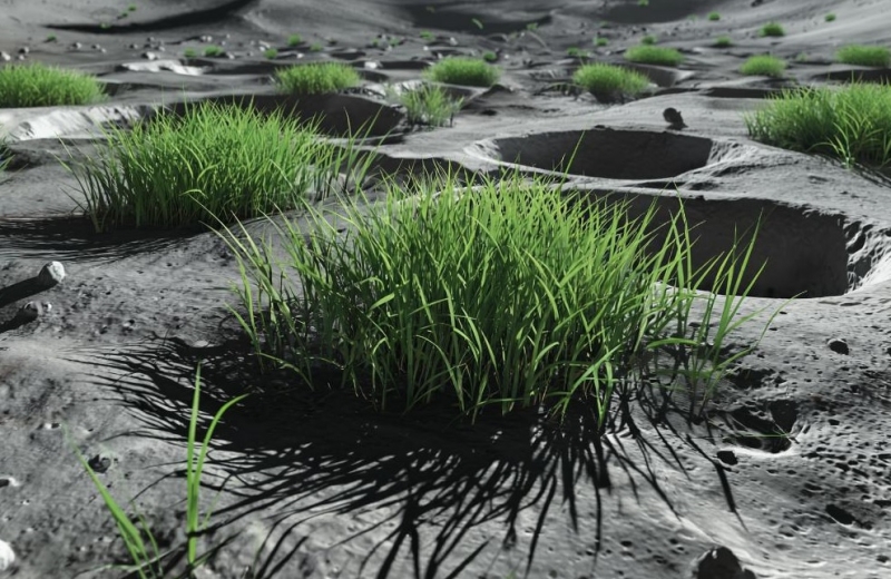 Китайские ученые придумали, как сделать лунный грунт плодородным