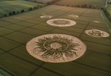 Круги на полях вновь тревожат английских фермеров