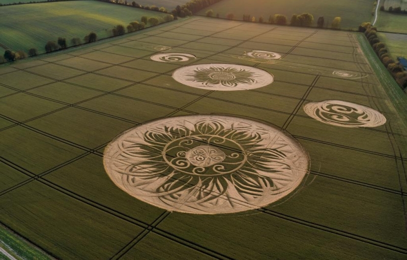 Круги на полях вновь тревожат английских фермеров