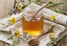 Мёд австралийских пчел обладает уникальными лечебными свойствами: показало исследование