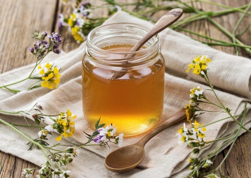 Мёд австралийских пчел обладает уникальными лечебными свойствами: показало исследование