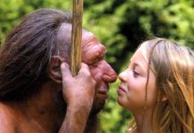 Сколько лет жили неандертальцы, выяснили ученые