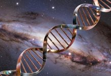 Скорость старения человека нельзя изменить, пришли к выводу ученые