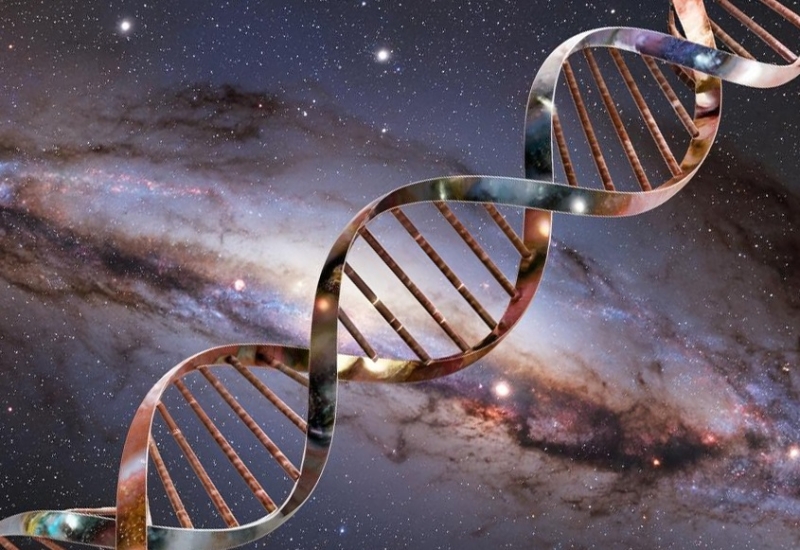 Скорость старения человека нельзя изменить, пришли к выводу ученые