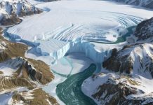 Ученые выяснили, где могла прятаться жизнь во времена глобального похолодания