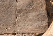 Древнее наскальное изображение на берегу Нила указывает на неизвестного основателя египетской цивилизации