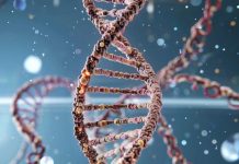 Генная терапия возвращает слух взрослым пациентам, показало исследование