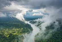 «Летающие реки» Амазонки: невидимые потоки, от которых зависит жизнь континента