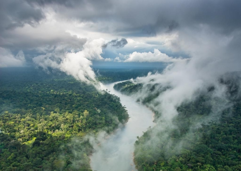 «Летающие реки» Амазонки: невидимые потоки, от которых зависит жизнь континента