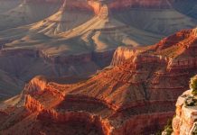 Окаменелости в Гранд-Каньоне указывают на странные эксперименты эволюции