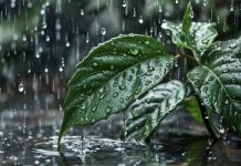 Ученые фиксируют увеличение концентрации трифторуксусной кислоты в осадках по всему миру