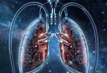 Ученые разработали «электронные легкие», позволяющие изучить влияние вирусов на организм