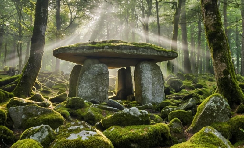 В Сочи обнаружили уникальный барельеф на древнем дольмене