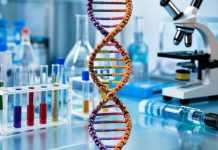 В Великобритании родились дети с использованием ДНК трёх человек