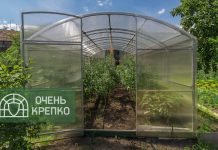 Почему стоит выбрать усиленную теплицу из поликарбоната: ключевые преимущества и советы по выбору для вашего участка