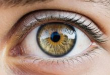 Эволюция продолжается: части человеческого тела, которые, возможно, исчезнут в будущем