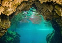 Китайского дайвера нашли живым спустя пять суток под водой