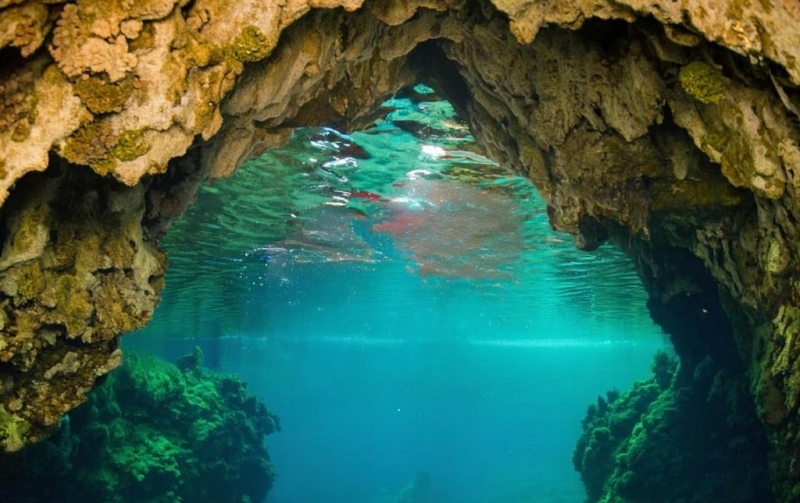 Китайского дайвера нашли живым спустя пять суток под водой