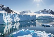 Ледяной континент трещит по швам: тревожные сигналы Антарктиды взволновали ученых всего мира